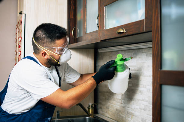 Best Commercial Pest Control Services  in Gardnerville, NV