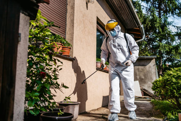 Best Best Pest Control Companies  in Gardnerville, NV
