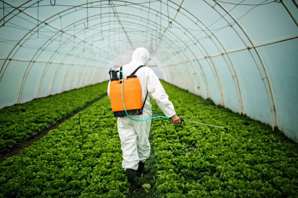 Best Pest Inspection Near Me  in Gardnerville, NV