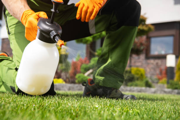Best Affordable Pest Control Services  in Gardnerville, NV
