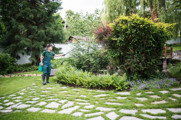 Best Best Pest Control Companies  in Gardnerville, NV