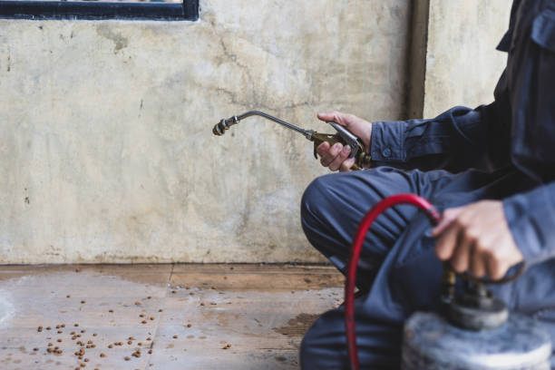 Best Pest Control Near Me  in Gardnerville, NV